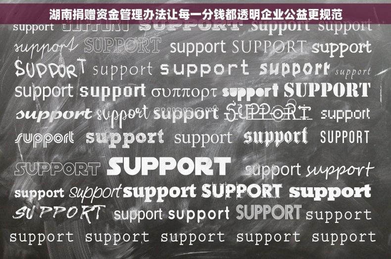 湖南捐赠资金管理办法让每一分钱都透明企业公益更规范