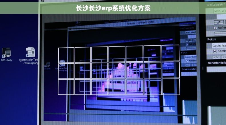 长沙长沙erp系统优化方案