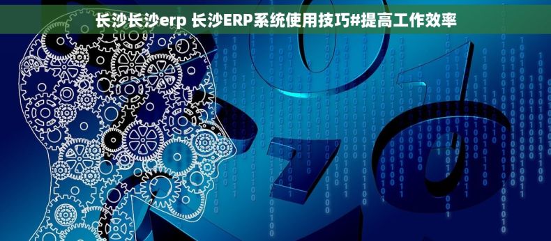 长沙长沙erp 长沙ERP系统使用技巧#提高工作效率
