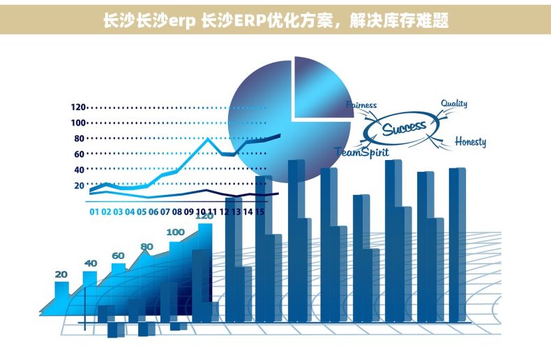 长沙长沙erp 长沙ERP优化方案，解决库存难题