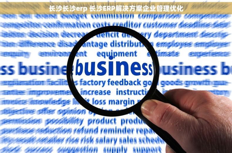长沙长沙erp 长沙ERP解决方案企业管理优化