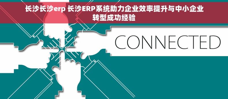 长沙长沙erp 长沙ERP系统助力企业效率提升与中小企业转型成功经验