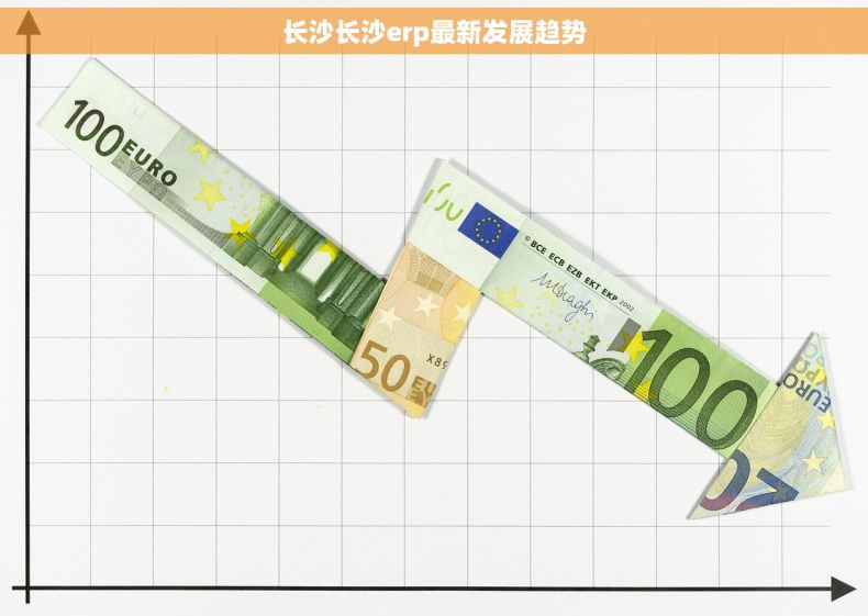 长沙长沙erp最新发展趋势