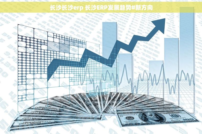 长沙长沙erp 长沙ERP发展趋势#新方向