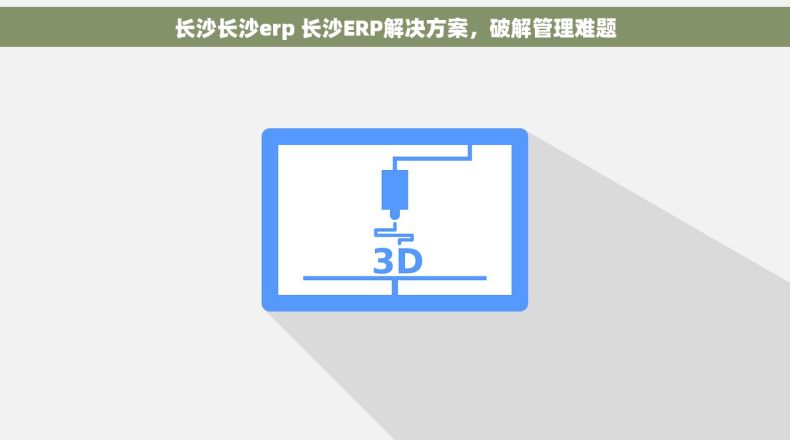 长沙长沙erp 长沙ERP解决方案，破解管理难题