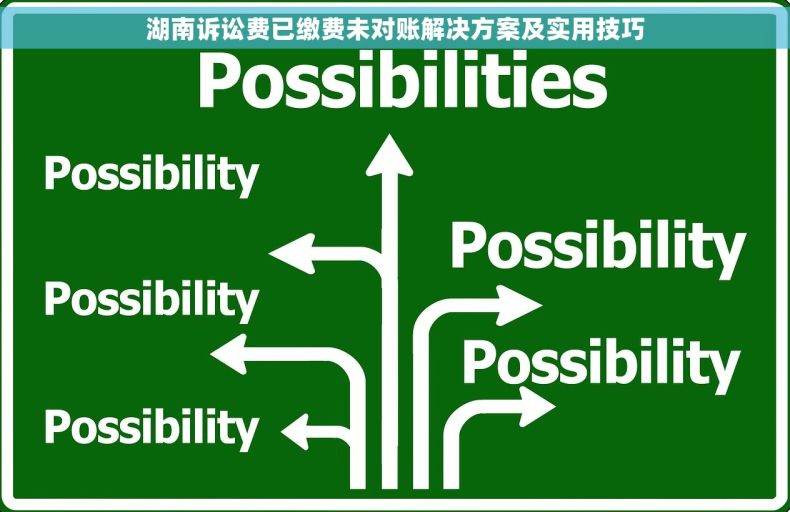 湖南诉讼费已缴费未对账解决方案及实用技巧