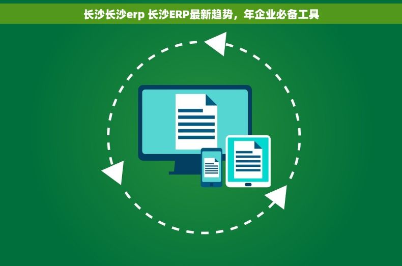 长沙长沙erp 长沙ERP最新趋势，年企业必备工具
