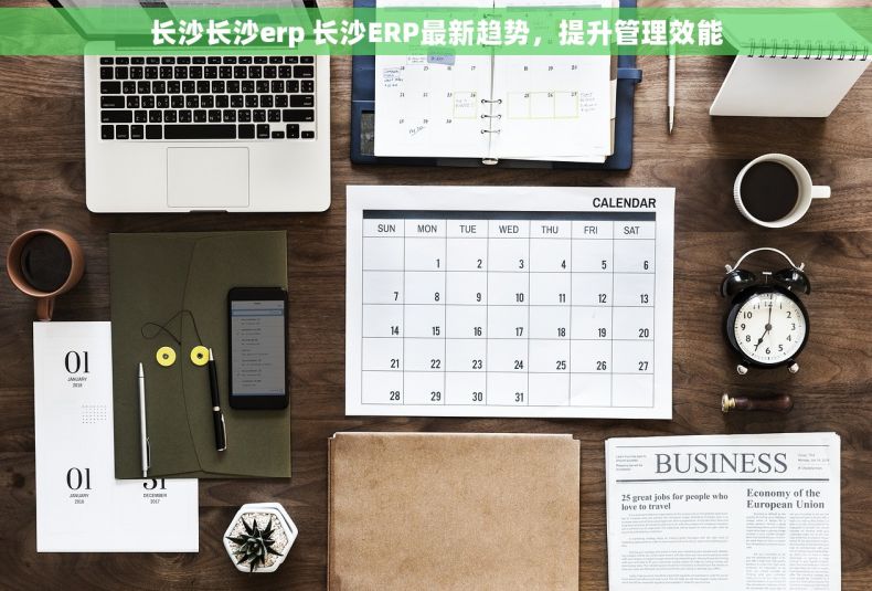 长沙长沙erp 长沙ERP最新趋势，提升管理效能