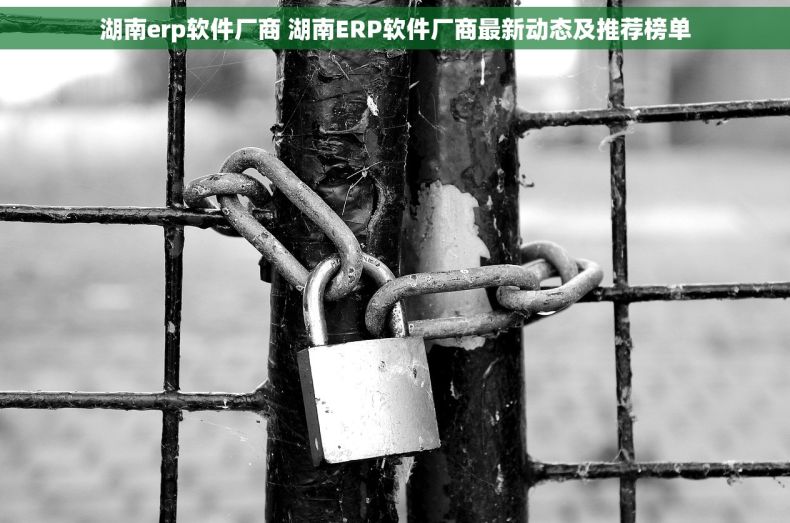 湖南erp软件厂商 湖南ERP软件厂商最新动态及推荐榜单