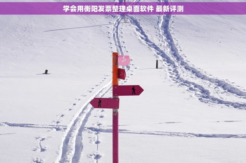 学会用衡阳发票整理桌面软件 最新评测