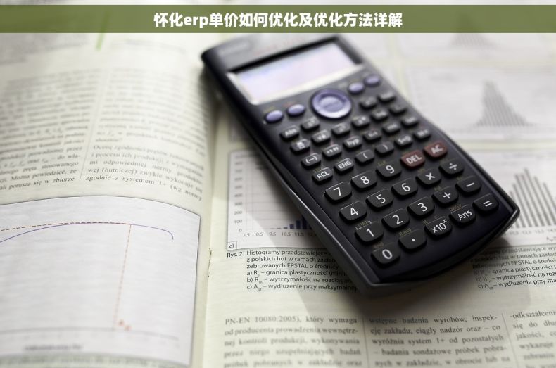 怀化erp单价如何优化及优化方法详解