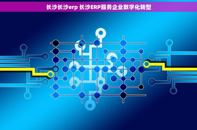 长沙长沙erp 长沙ERP服务企业数字化转型