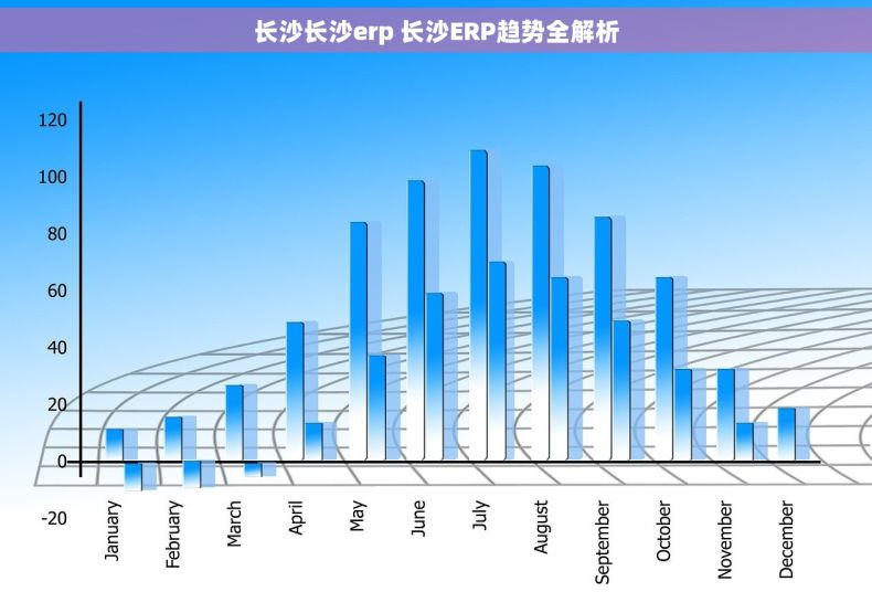 长沙长沙erp 长沙ERP趋势全解析