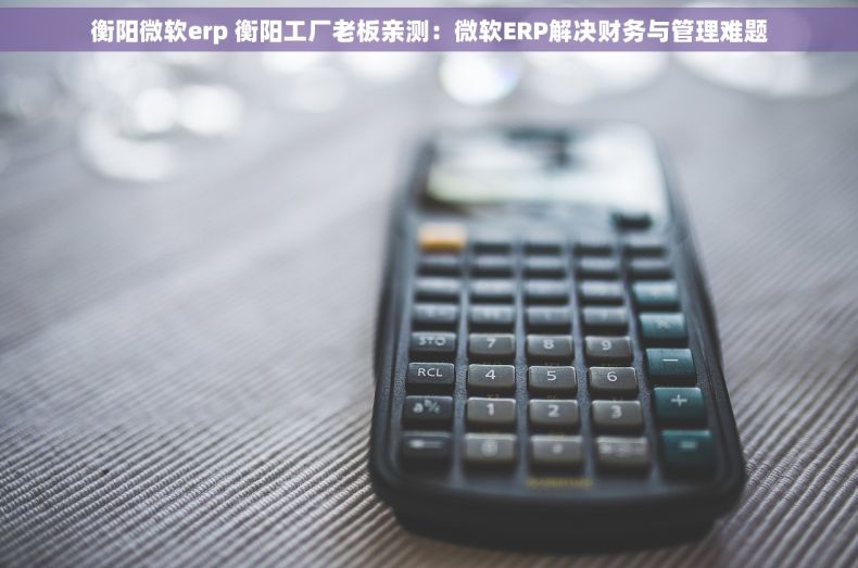 衡阳微软erp 衡阳工厂老板亲测：微软ERP解决财务与管理难题