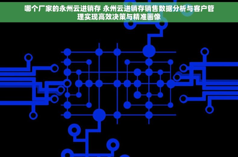 哪个厂家的永州云进销存 永州云进销存销售数据分析与客户管理实现高效决策与精准画像
