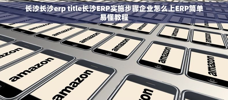 长沙长沙erp title长沙ERP实施步骤企业怎么上ERP简单易懂教程