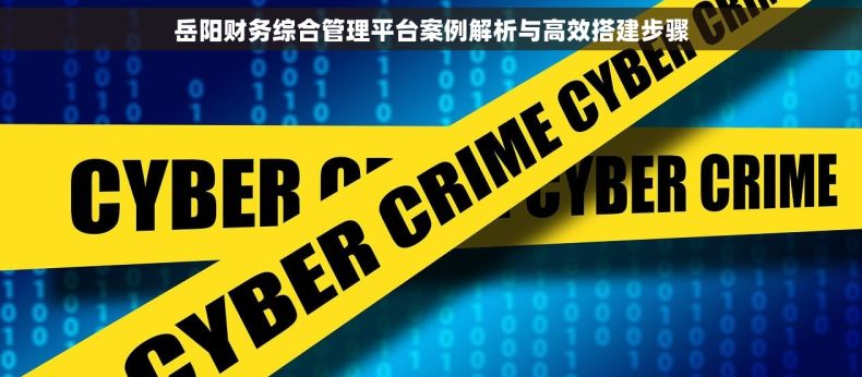岳阳财务综合管理平台案例解析与高效搭建步骤