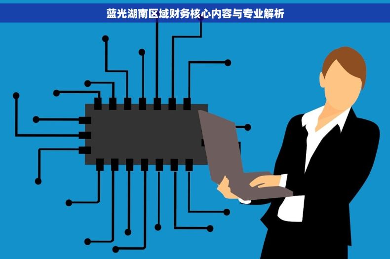 蓝光湖南区域财务核心内容与专业解析