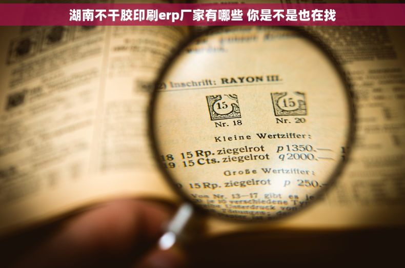 湖南不干胶印刷erp厂家有哪些 你是不是也在找