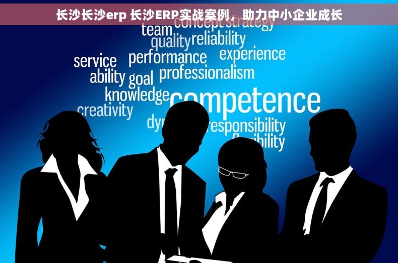 长沙长沙erp 长沙ERP实战案例，助力中小企业成长
