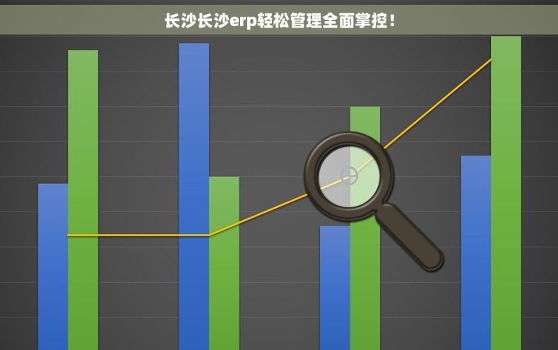 长沙长沙erp轻松管理全面掌控！