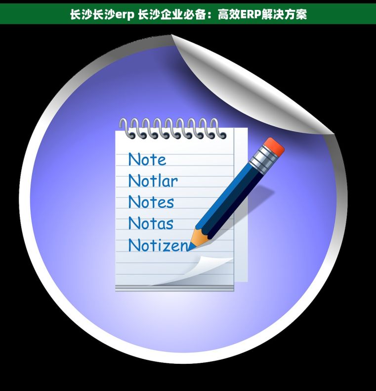 长沙长沙erp 长沙企业必备：高效ERP解决方案