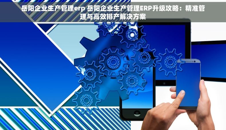 岳阳企业生产管理erp 岳阳企业生产管理ERP升级攻略：精准管理与高效排产解决方案