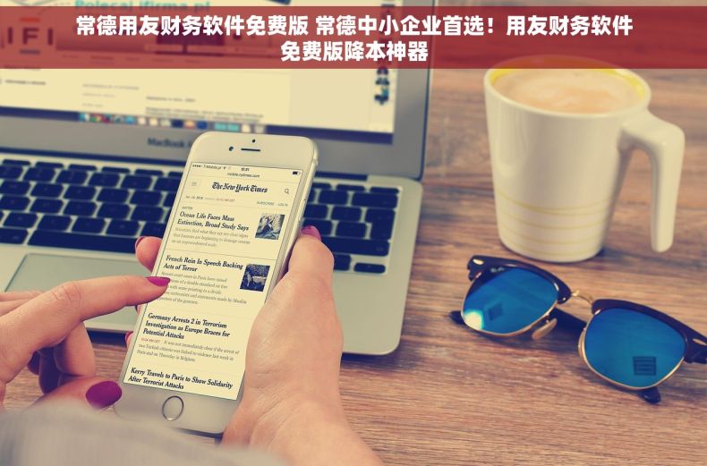 常德用友财务软件免费版 常德中小企业首选！用友财务软件免费版降本神器