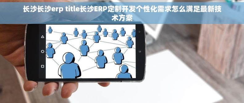 长沙长沙erp title长沙ERP定制开发个性化需求怎么满足最新技术方案