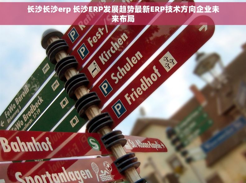 长沙长沙erp 长沙ERP发展趋势最新ERP技术方向企业未来布局