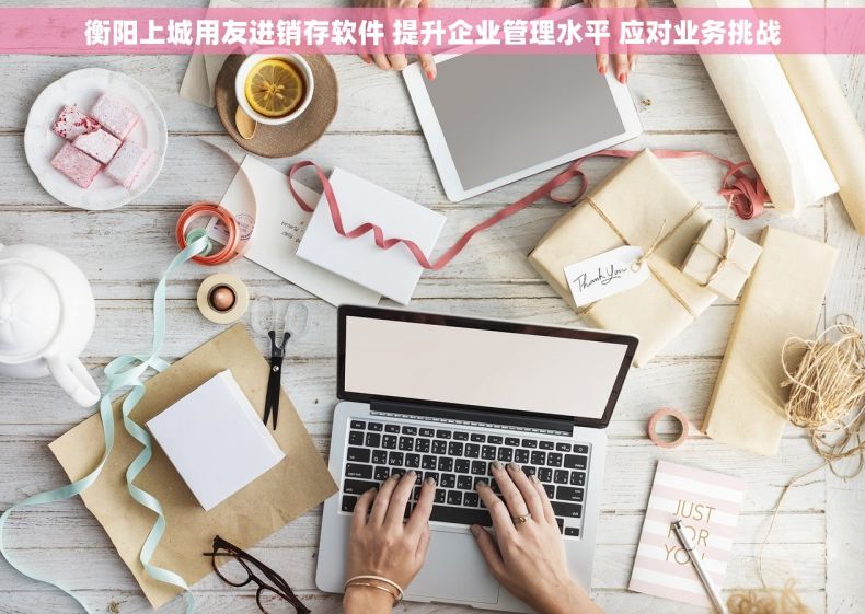 衡阳上城用友进销存软件 提升企业管理水平 应对业务挑战
