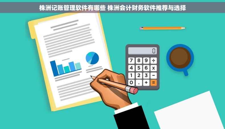 株洲记账管理软件有哪些 株洲会计财务软件推荐与选择
