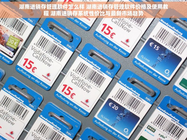 湖南进销存管理软件怎么样 湖南进销存管理软件价格及使用教程 湖南进销存系统性价比与最新市场趋势