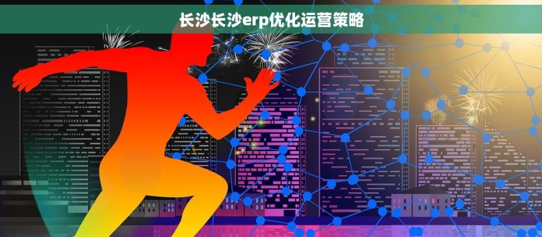 长沙长沙erp优化运营策略