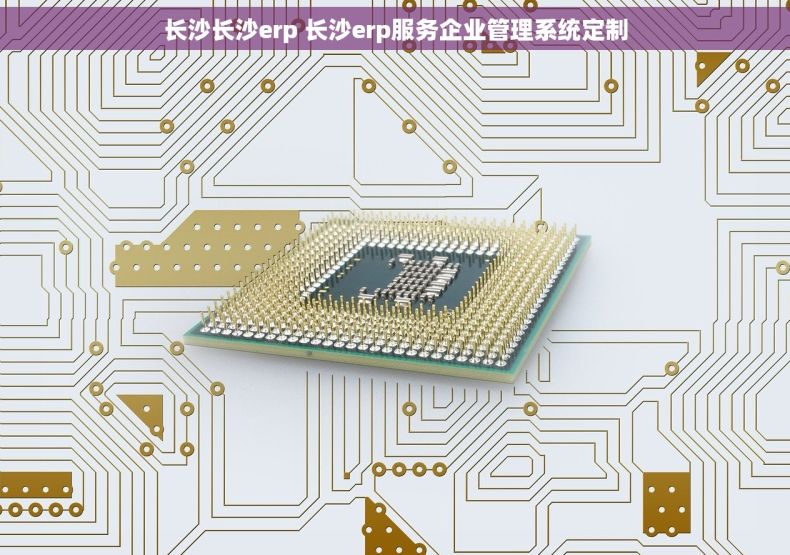 长沙长沙erp 长沙erp服务企业管理系统定制