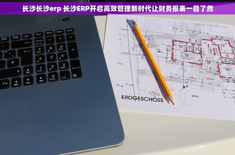 长沙长沙erp 长沙ERP开启高效管理新时代让财务报表一目了然