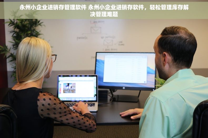 永州小企业进销存管理软件 永州小企业进销存软件，轻松管理库存解决管理难题