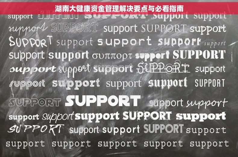 湖南大健康资金管理解决要点与必看指南