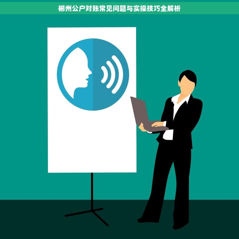 郴州公户对账常见问题与实操技巧全解析