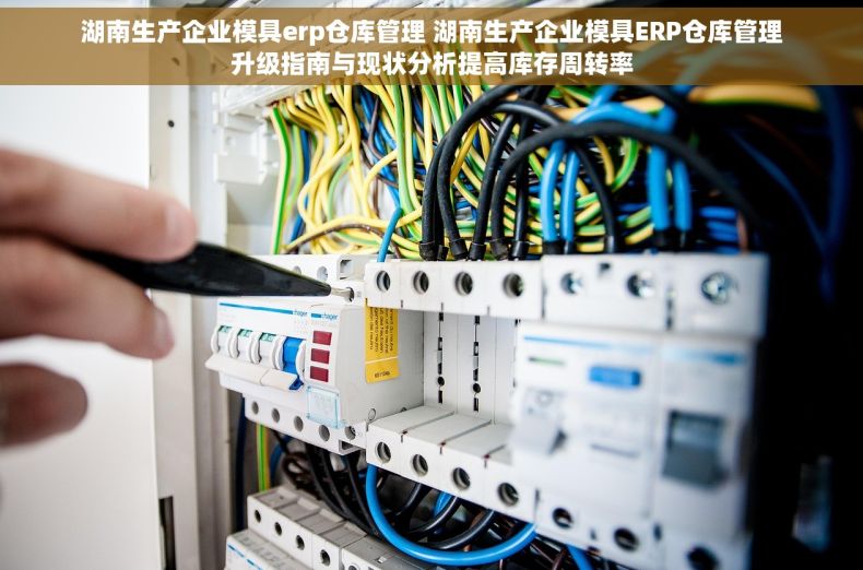 湖南生产企业模具erp仓库管理 湖南生产企业模具ERP仓库管理升级指南与现状分析提高库存周转率