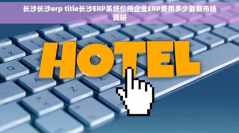 长沙长沙erp title长沙ERP系统价格企业ERP费用多少最新市场调研