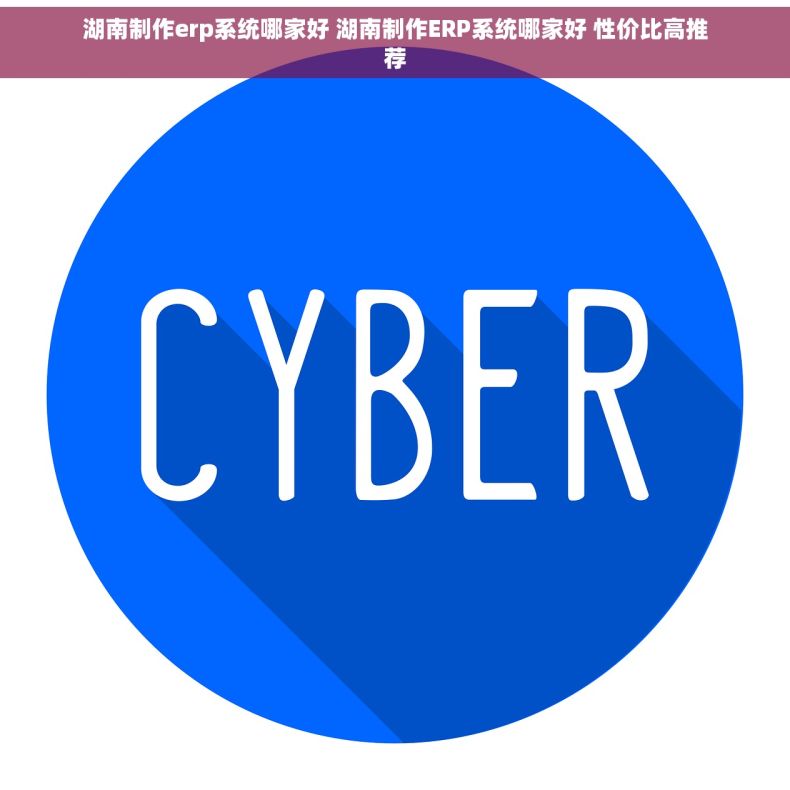 湖南制作erp系统哪家好 湖南制作ERP系统哪家好 性价比高推荐