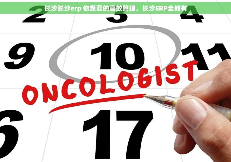 长沙长沙erp 你想要的高效管理，长沙ERP全都有