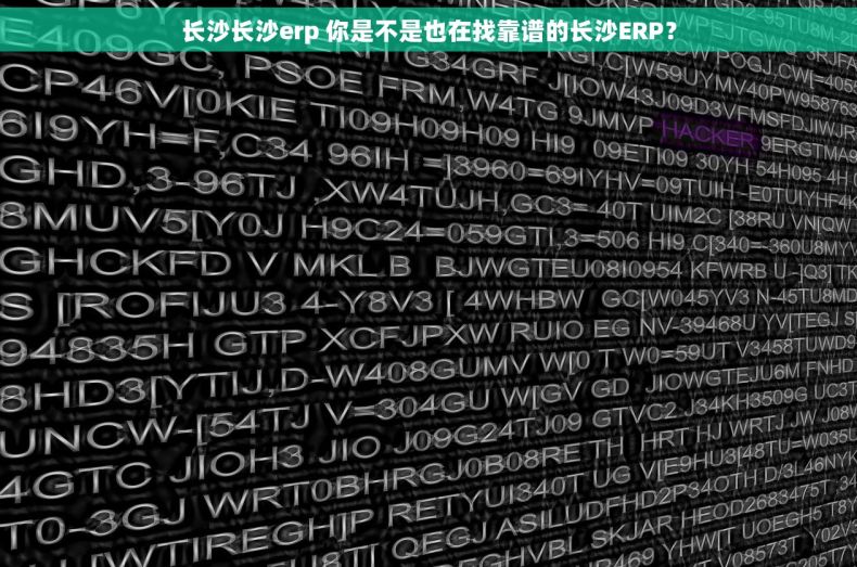 长沙长沙erp 你是不是也在找靠谱的长沙ERP？