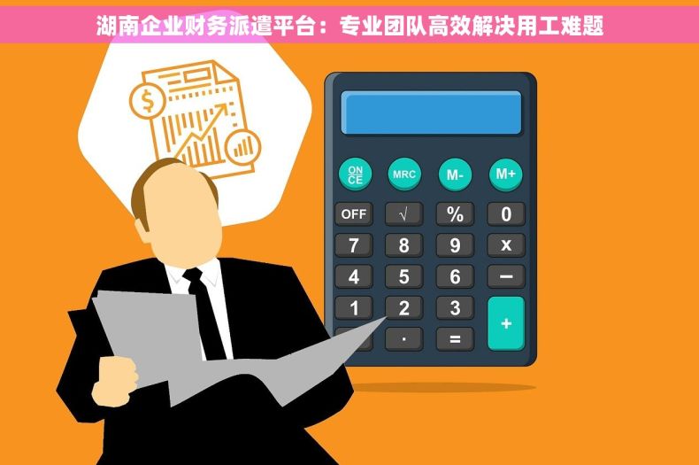 湖南企业财务派遣平台：专业团队高效解决用工难题