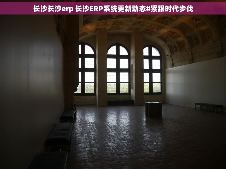 长沙长沙erp 长沙ERP系统更新动态#紧跟时代步伐