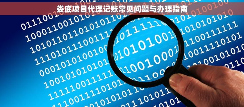 娄底项目代理记账常见问题与办理指南