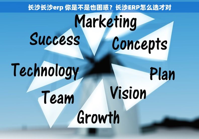 长沙长沙erp 你是不是也困惑？长沙ERP怎么选才对