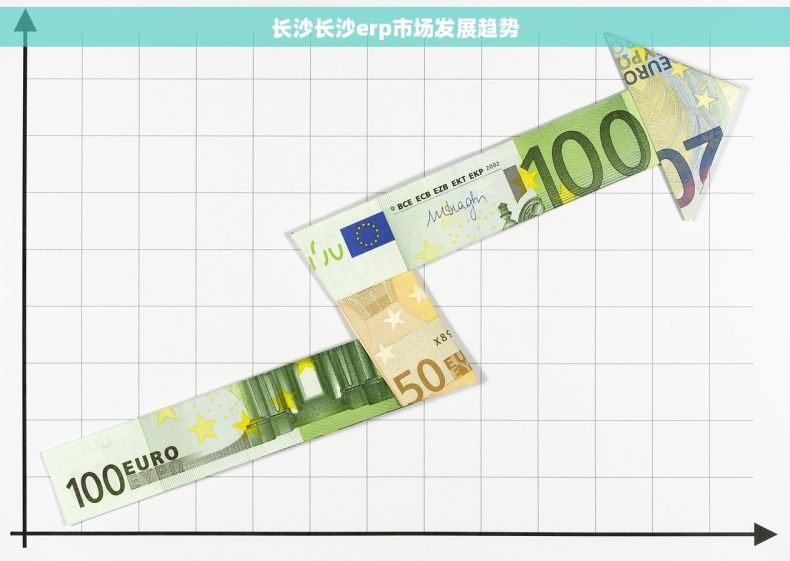 长沙长沙erp市场发展趋势