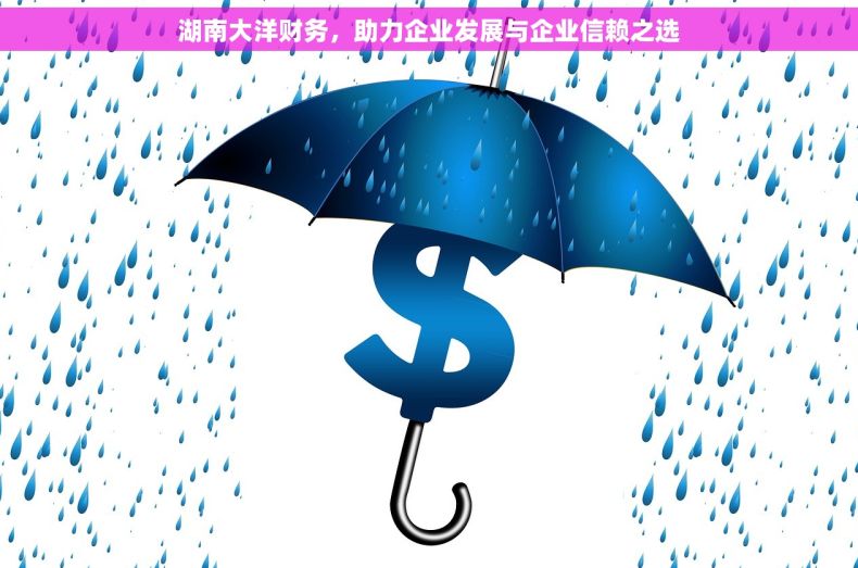 湖南大洋财务，助力企业发展与企业信赖之选
